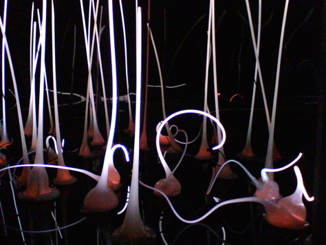 Chihuly at RISD: "Glass Forest #4" 2008