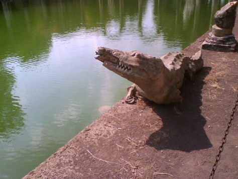 Crocodile at Villa Adriana / Hadrian's Villa